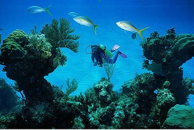 《最终幻想：水晶编年史》由于“不可修复BUG”从iOS下架